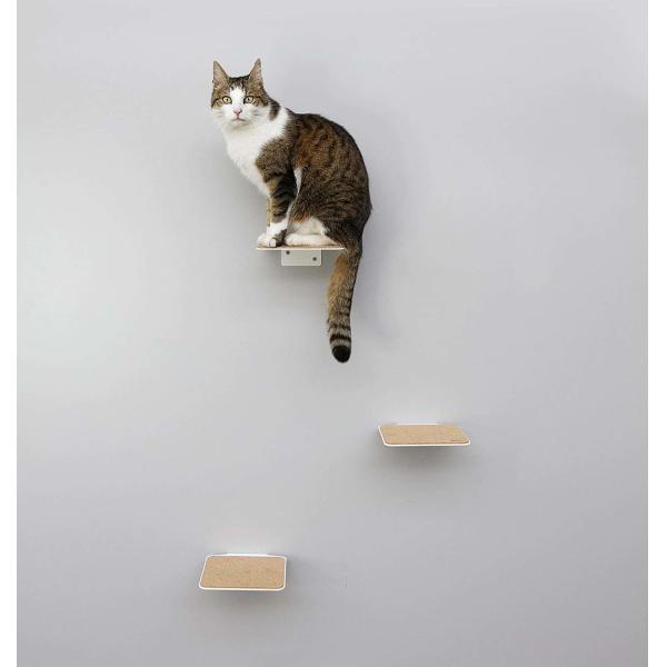 Quality Offering Small Animals the Opportunity to Climb and Observe Black Powder Coated Design wholesale