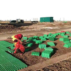 Cheap HDPE PP Driveway Grass Grid High Compressive Strength Plastic Grid for Car Parking Lot for sale