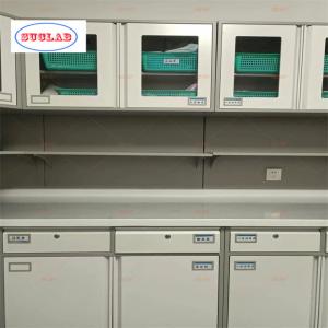 China Full Steel Hospital Equipment Hospital Disposal Cabinet manufacturer or Functional Hospital Using on sale