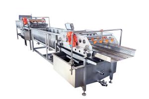 China Air Bubble Salmon Fish 4.8KW Seafood Washing Processing Machine on sale