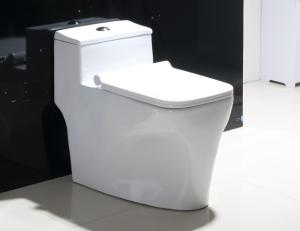 Cheap Back To Wall Bathroom Dual Flush Rimless Toilet Floor Mounted for sale
