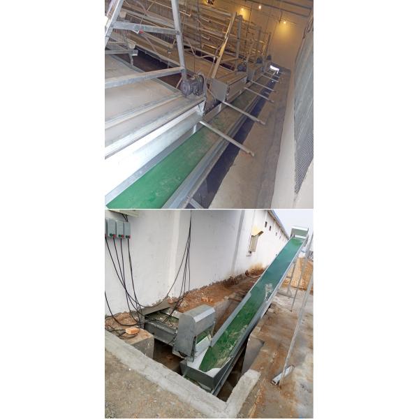 U Type Cage 4 floors Poultry Manure Removal System 3-6mm Diameter Wire