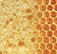 Yellow Highly Absorbent Soft Texture Flex Texture Sponge With Rich Bubbles For Gentle Cleaning