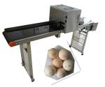 1 - 4 Printing Lines Inkjet Batch Coding Machine For Farm Preserved Eggs