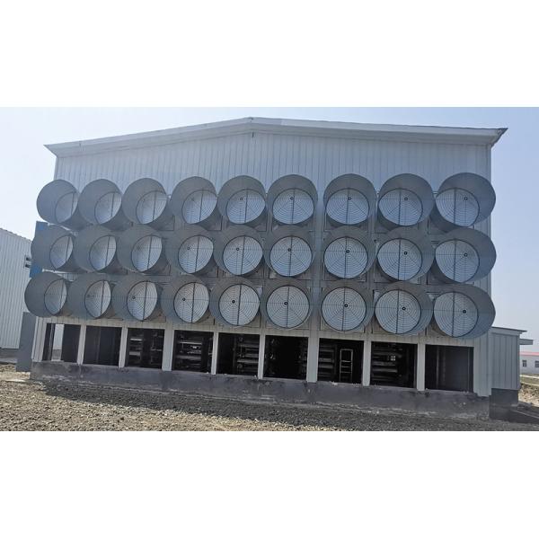 36000m3/H 1250mm Poultry Environmental Control System Chicken House Butterfly Cone Fan