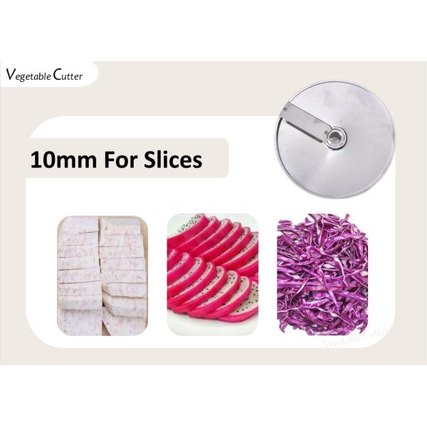 Multi Function 200W Industrial Commercial Vegetable Cutters Fruit Processing Machine