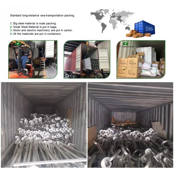 Blueberry PE Film Poly Tunnel Greenhouse Anti Ultraviolet