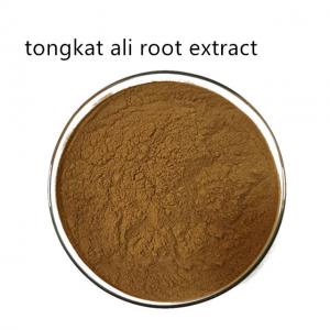 Cheap Food Grade Herbal Tongkat Ali Root Extract Powder For Healthcare Products for sale