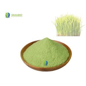 Barley Leaf Juice Powder Green Barley Grass Juice Powder Food Wine Leaf Extract