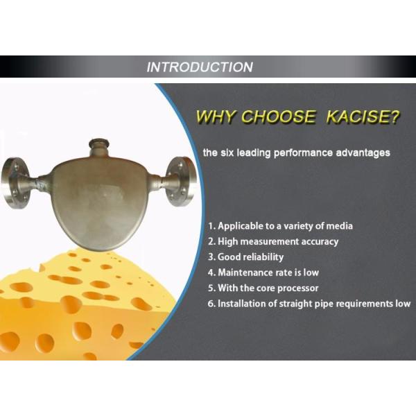 Mass Flowmeter-Cheese Production and Processing Metering Equipment