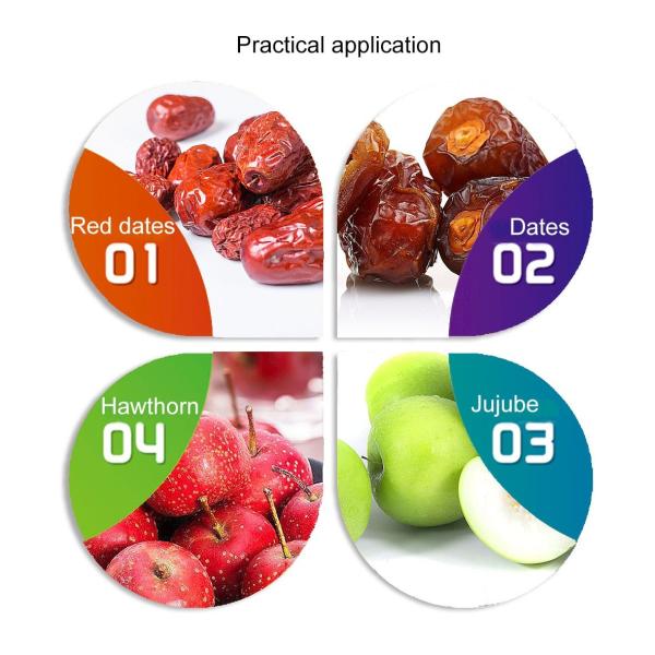 Automatic Jujube Processing Line 50T/H Extraction And Beating