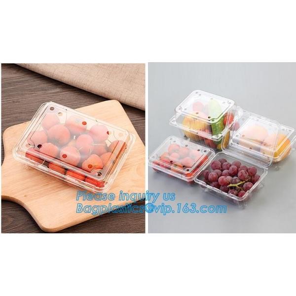 100% Biodegradable, 100% Compostable PLA Drinking Straws pla biodegradable drinking straw wholesale,Corn Starch Biodegra