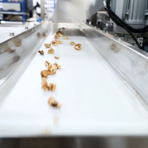 2 Tons Automatic Feeding Walnut Shelling Machine Featured Kernel Shell