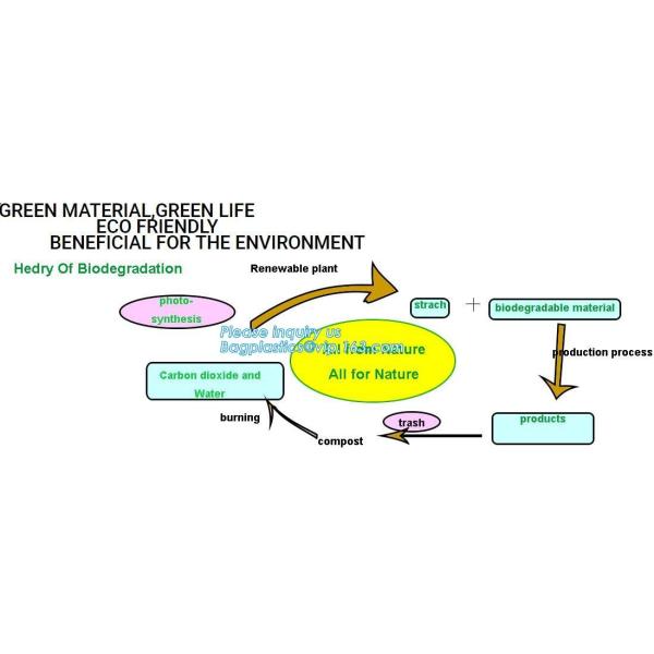 100% Biodegradable, 100% Compostable PLA Drinking Straws pla biodegradable drinking straw wholesale,Corn Starch Biodegra