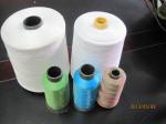 Colorful Rayon , Polyester Embroidery Thread 500d/2 For Shoes , Hat
