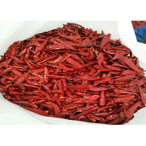 MUI Tianjin Red Chilies Authentic Red Chilli Pods Single Herb