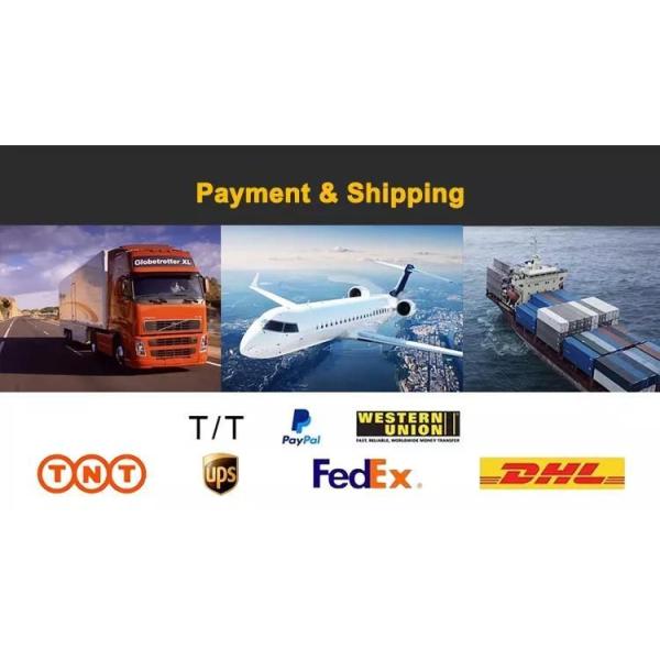 Compatible All Computer DDR5 Desktop RAM Memory Udimm 32GB 5200MHz