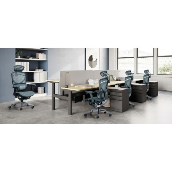 Double Back Support Mesh Ergonomic Executive Chair Automatic Back Supporting Lumbar