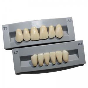 China High Durability Artificial Acrylic Teeth VITA High Stain Impact Resistance Heraeus Form on sale
