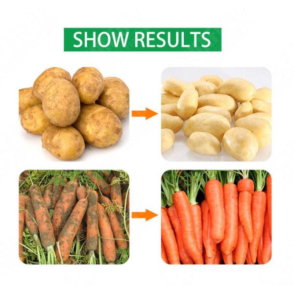 Large Spray Cleaning Machine Fruit And Vegetable Cleaning Machine