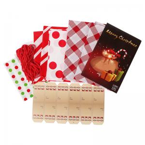Cheap Heavy Duty Set Flat PE Christmas Plastic Bags With String Ties for sale