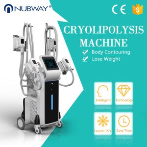 Buy cheap low price cryolipolysis weight loss equipment fat freezing cavitation slimming from wholesalers
