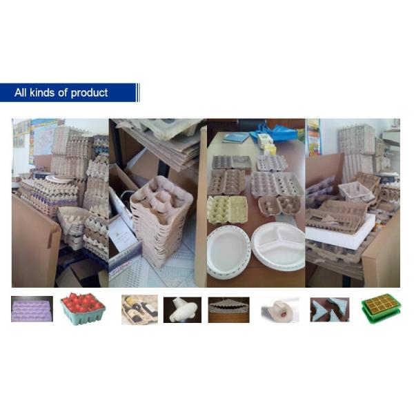 2 Molds Forming Egg Tray Paper Carton Making Machine Computer Control