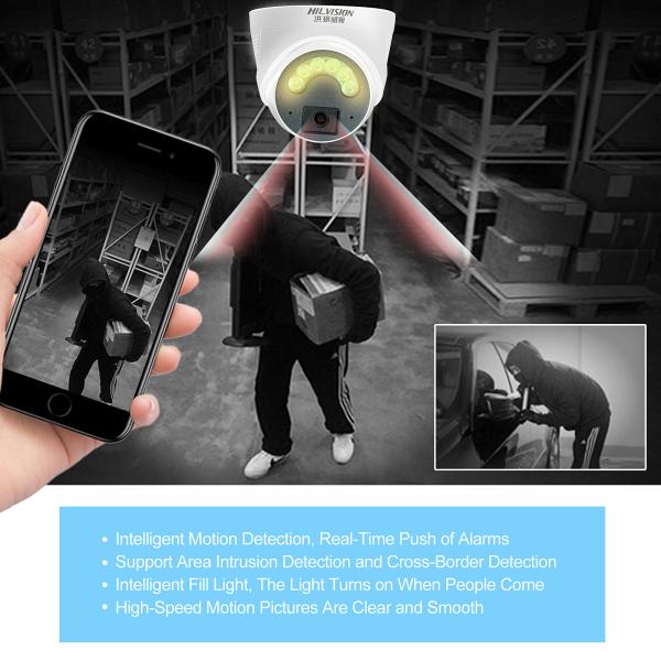 SD Card Data Storage Options Double Light Source Full-Color Network Camera for Monitoring