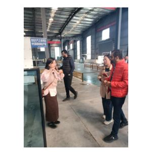 Cheap Q355 Steel Structure Or Aluminium Steel Structure Glass Curtain Wall System for sale