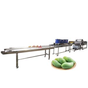 Buy cheap Hot selling Factory Direct Sales Conveyor Belt Vegetable Washer by Huafood from wholesalers