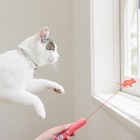 Cheap Interactive Light Cat Toys For Indoor Pet Training Tool Laser Pointer for sale