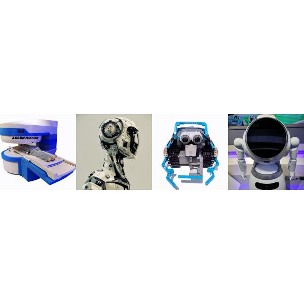 Electric 6 Volt High Speed Dc Motor Coreless 805mA Starting Current