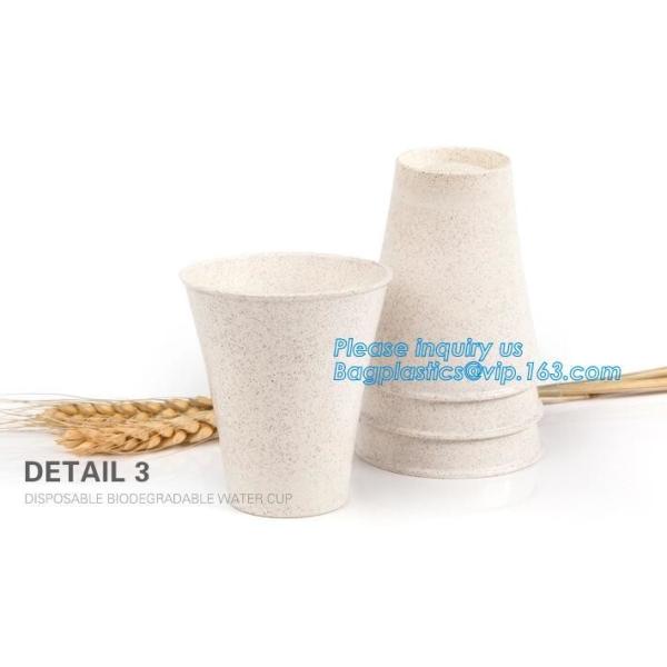 100% Biodegradable, 100% Compostable PLA Drinking Straws pla biodegradable drinking straw wholesale,Corn Starch Biodegra