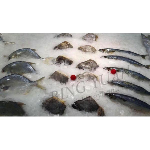 3.94KW 10 Tons 220V Flake Ice Maker Machine , Snow Ice Maker Machine