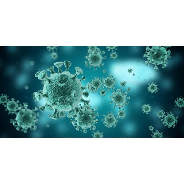 IgG IgM Coronavirus Test Kit