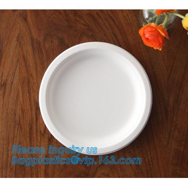 100% Biodegradable, 100% Compostable PLA Drinking Straws pla biodegradable drinking straw wholesale,Corn Starch Biodegra