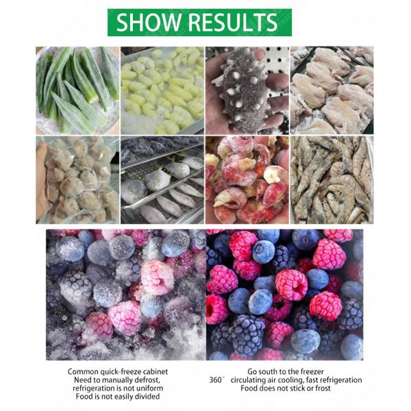 Hot Selling 20Ft Blast Freezer Industrial Freezer Room With High Quality