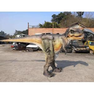 Zigong City Red Tiger Culture & Art Co., Ltd.