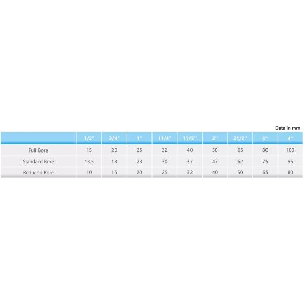 PN10 / 232Psi Brass Spring Check Valve With Plastic Disc