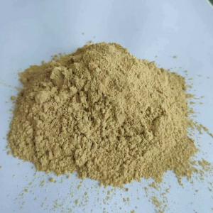 Cheap Focus Herb Natural Tongkat Ali Extract for sale