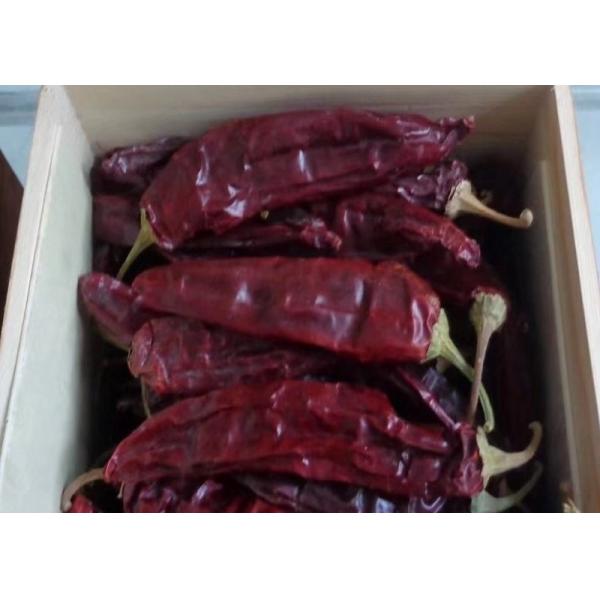 New Crop 220 ASTA Paprika Sweet Red Pepper Pungent Guajillo Chili Peppers 12-18 Cm