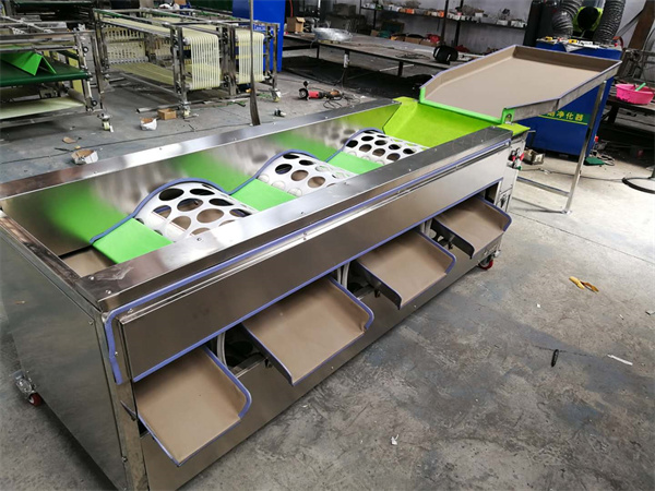 apple grading machine, citrus sorting machine, lemon grader sorter