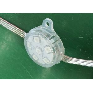 Full Color 5050 LED Pixel Light LED Globe String Lights Customize