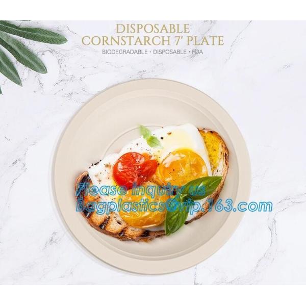 100% Biodegradable, 100% Compostable PLA Drinking Straws pla biodegradable drinking straw wholesale,Corn Starch Biodegra