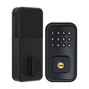 Cheap Biometric Smart Security Magnetic Electric Lock Fingerprint Smart Door Lock for sale