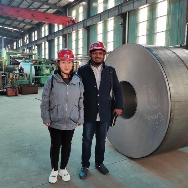Galvanized Steel Electro Carbon Iron Wire for Construction and Wire Mesh Making 30%TT Advance 70% Balance Payment Terms