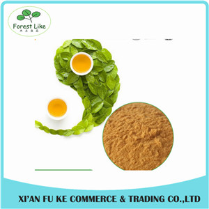 Health Product Green Tea Extract 98%Tea Polyphenol