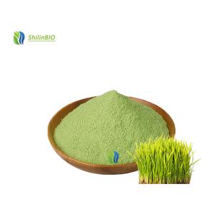 Barley Leaf Juice Powder Green Barley Grass Juice Powder Food Wine Leaf Extract