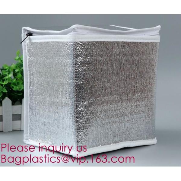 Accept Customized Logo And Packing Non Woven Insulated Lunch Thermal Cooler Bag,Insulated Thermal Pizza Bag & Pizza Carr