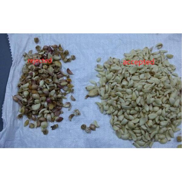 Dehydrated Vegetable Sorting Machine CCD Core Intelligent Sensor